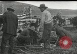 Standbild Rinder Branding United States USA, 1918, aus Sekunde 1 historischem Filmmaterial Videoclip 65675066753