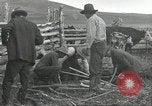 Standbild Rinder Branding United States USA, 1918, aus Sekunde 3 historischem Filmmaterial Videoclip 65675066753