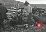 Standbild Rinder Branding United States USA, 1918, aus Sekunde 4 historischem Filmmaterial Videoclip 65675066753
