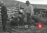 Standbild Rinder Branding United States USA, 1918, aus Sekunde 5 historischem Filmmaterial Videoclip 65675066753