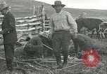 Standbild Rinder Branding United States USA, 1918, aus Sekunde 6 historischem Filmmaterial Videoclip 65675066753