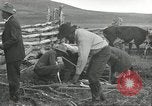 Standbild Rinder Branding United States USA, 1918, aus Sekunde 7 historischem Filmmaterial Videoclip 65675066753