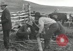 Standbild Rinder Branding United States USA, 1918, aus Sekunde 8 historischem Filmmaterial Videoclip 65675066753
