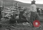 Standbild Rinder Branding United States USA, 1918, aus Sekunde 9 historischem Filmmaterial Videoclip 65675066753
