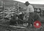 Standbild Rinder Branding United States USA, 1918, aus Sekunde 10 historischem Filmmaterial Videoclip 65675066753