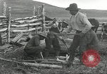 Standbild Rinder Branding United States USA, 1918, aus Sekunde 11 historischem Filmmaterial Videoclip 65675066753