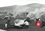 Standbild Rinder Branding United States USA, 1918, aus Sekunde 24 historischem Filmmaterial Videoclip 65675066753