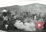 Standbild Rinder Branding United States USA, 1918, aus Sekunde 26 historischem Filmmaterial Videoclip 65675066753