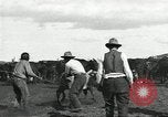 Standbild Rinder Branding United States USA, 1918, aus Sekunde 28 historischem Filmmaterial Videoclip 65675066753
