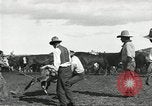Standbild Rinder Branding United States USA, 1918, aus Sekunde 31 historischem Filmmaterial Videoclip 65675066753