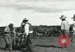Standbild Rinder Branding United States USA, 1918, aus Sekunde 32 historischem Filmmaterial Videoclip 65675066753