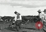 Standbild Rinder Branding United States USA, 1918, aus Sekunde 33 historischem Filmmaterial Videoclip 65675066753