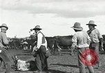 Standbild Rinder Branding United States USA, 1918, aus Sekunde 37 historischem Filmmaterial Videoclip 65675066753