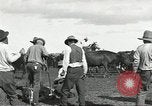 Standbild Rinder Branding United States USA, 1918, aus Sekunde 39 historischem Filmmaterial Videoclip 65675066753