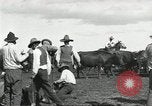 Standbild Rinder Branding United States USA, 1918, aus Sekunde 40 historischem Filmmaterial Videoclip 65675066753