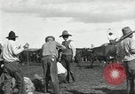 Standbild Rinder Branding United States USA, 1918, aus Sekunde 41 historischem Filmmaterial Videoclip 65675066753