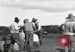 Standbild Rinder Branding United States USA, 1918, aus Sekunde 42 historischem Filmmaterial Videoclip 65675066753
