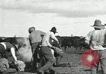 Standbild Rinder Branding United States USA, 1918, aus Sekunde 43 historischem Filmmaterial Videoclip 65675066753