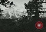Standbild Rinder Branding United States USA, 1918, aus Sekunde 49 historischem Filmmaterial Videoclip 65675066753