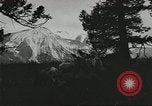 Standbild Rinder Branding United States USA, 1918, aus Sekunde 53 historischem Filmmaterial Videoclip 65675066753