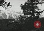 Standbild Rinder Branding United States USA, 1918, aus Sekunde 59 historischem Filmmaterial Videoclip 65675066753