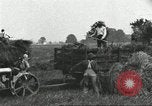 Image of wheat farm United States USA, 1918, second 16 stock footage video 65675066756