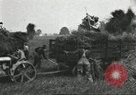 Image of wheat farm United States USA, 1918, second 20 stock footage video 65675066756