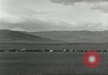 Image of cattle ranch United States USA, 1918, second 9 stock footage video 65675066761