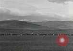 Image of cattle ranch United States USA, 1918, second 13 stock footage video 65675066761