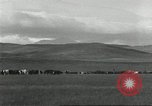 Image of cattle ranch United States USA, 1918, second 22 stock footage video 65675066761