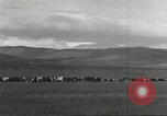 Image of cattle ranch United States USA, 1918, second 27 stock footage video 65675066761