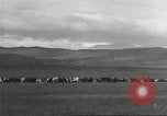 Image of cattle ranch United States USA, 1918, second 29 stock footage video 65675066761