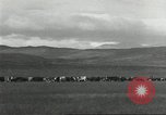 Image of cattle ranch United States USA, 1918, second 30 stock footage video 65675066761