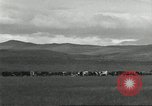 Image of cattle ranch United States USA, 1918, second 34 stock footage video 65675066761