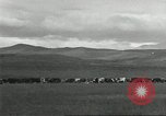 Image of cattle ranch United States USA, 1918, second 35 stock footage video 65675066761
