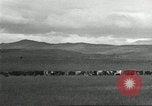 Image of cattle ranch United States USA, 1918, second 36 stock footage video 65675066761