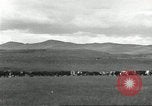Image of cattle ranch United States USA, 1918, second 40 stock footage video 65675066761