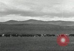Image of cattle ranch United States USA, 1918, second 42 stock footage video 65675066761