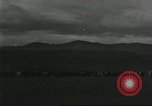 Image of cattle ranch United States USA, 1918, second 46 stock footage video 65675066761