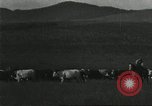 Image of cattle ranch United States USA, 1918, second 47 stock footage video 65675066761