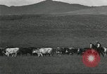 Image of cattle ranch United States USA, 1918, second 48 stock footage video 65675066761