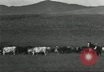 Image of cattle ranch United States USA, 1918, second 49 stock footage video 65675066761