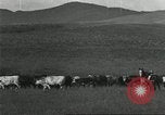 Image of cattle ranch United States USA, 1918, second 50 stock footage video 65675066761