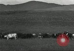 Image of cattle ranch United States USA, 1918, second 53 stock footage video 65675066761