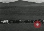 Image of cattle ranch United States USA, 1918, second 54 stock footage video 65675066761
