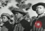 Immagine di Negro ragazzi a 1930 s CCC Camp Hardeeville South Carolina USA, 1939, secondo 6 filmato di repertorio 65675066765