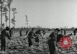 Immagine di Negro ragazzi Hardeeville South Carolina USA, 1939, secondo 1 filmato di repertorio 65675066766