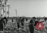 Immagine di Negro ragazzi Hardeeville South Carolina USA, 1939, secondo 3 filmato di repertorio 65675066766