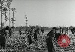 Immagine di Negro ragazzi Hardeeville South Carolina USA, 1939, secondo 4 filmato di repertorio 65675066766