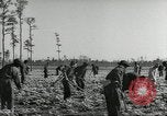 Immagine di Negro ragazzi Hardeeville South Carolina USA, 1939, secondo 5 filmato di repertorio 65675066766